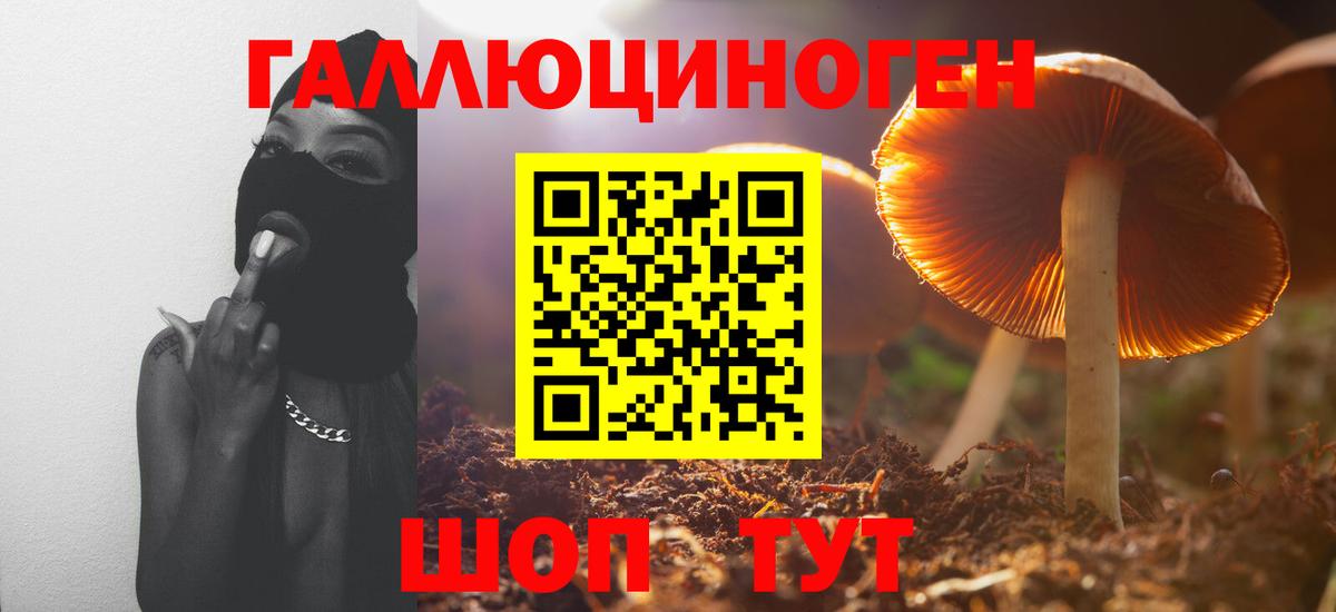 Галлюциногенные грибы мицелий Кропоткин